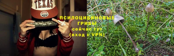 таблы Пересвет