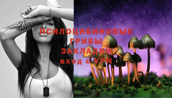 бошки Переславль-Залесский