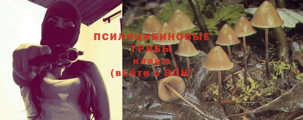 бошки Переславль-Залесский