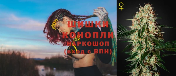 бошки Переславль-Залесский