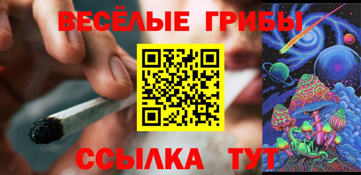 Псилоцибиновые грибы Psilocybine cubensis  Дзержинск 