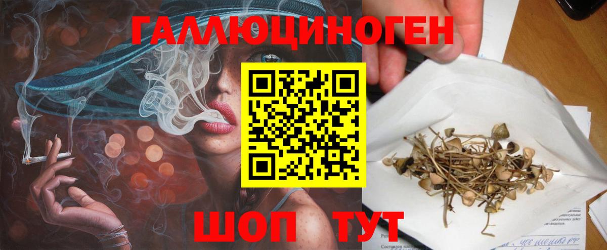 Псилоцибиновые грибы MAGIC MUSHROOMS  Вход с VPN  Дзержинск 