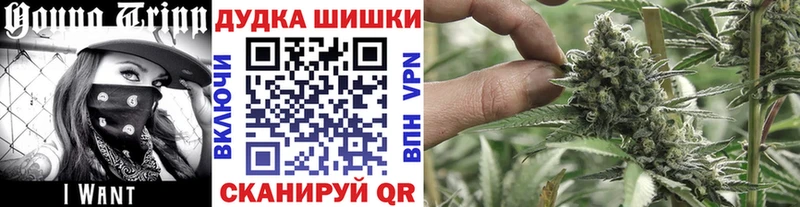 Конопля индика  Дзержинск 